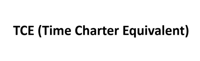 TCE (Time Charter Equivalent)