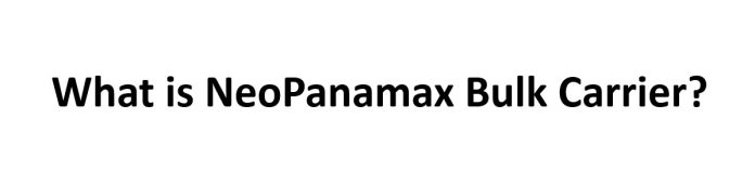 What is NeoPanamax Bulk Carrier